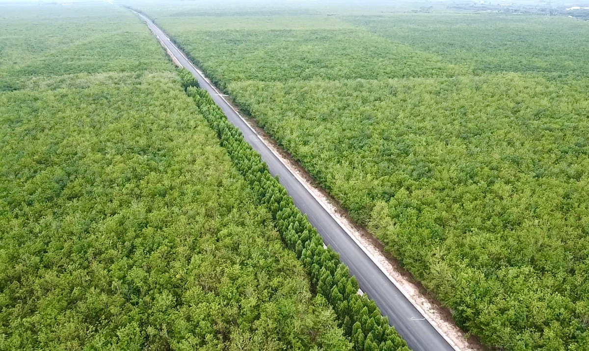 Khởi công, thông xe hai công trình đường bộ phía Nam gần 30.000 tỷ dịp lễ 30/4