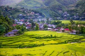 Năm 2025, người dân lưu ý những trường hợp sau đây khi chuyển đổi đất nông nghiệp được miễn thuế và lệ phí