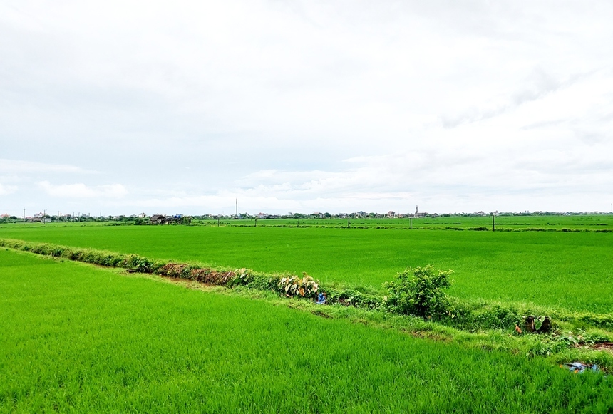 Người dân lưu ý một số điều kiện quan trọng sau đây khi muốn chuyển nhượng đất đai trong năm 2025